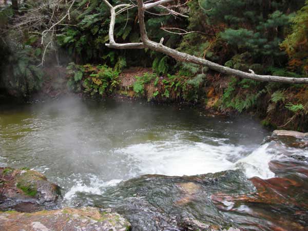 Kerosene Creek - NZHotPools.co.nz: ALL NZs Hot Pools In 